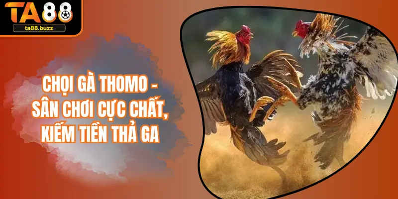 Chọi Gà Thomo - Sân Chơi Cực Chất, Kiếm Tiền Thả Ga
