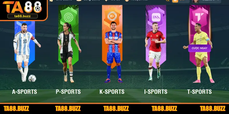 Trách nhiệm của nhà cái khi tuân thủ chính sách